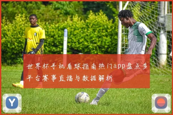 世界杯手机看球指南热门app盘点多平台赛事直播与数据解析