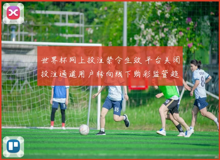 世界杯网上投注禁令生效 平台关闭投注通道用户转向线下购彩监管趋严
